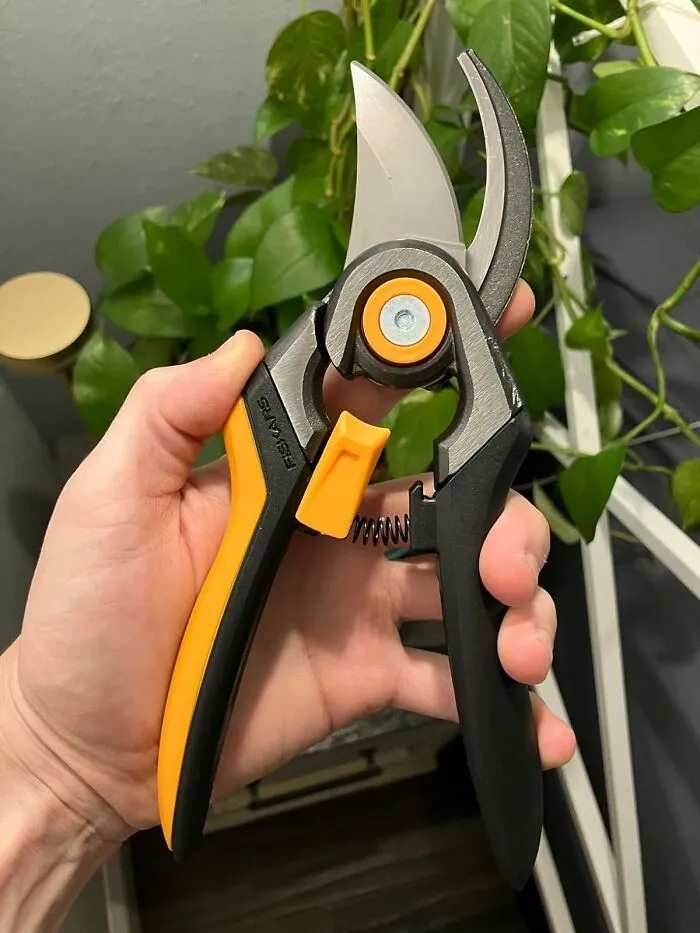 Snip Your Way To Gardening Greatness With The <a Style="Display:inline;" Href="Https://Www.amazon.com/Fiskars-91095935j-Bypass-Pruning-Shears/Dp/B00002n66h?ie=utf8&th=1&linkcode=ll1&tag=bpparrot-20&linkid=6cac88e14abc83423eb0eebe76d13a46&language=en_us&ref_=as_li_ss_tl" Target="_blank"><span Style="Font: Inherit; Color: #d74b1f;"> Quality Pruning Shears </Span> That Make Quick Work Of Deadheading, Trimming, And Shaping Your Plants Into Perfection