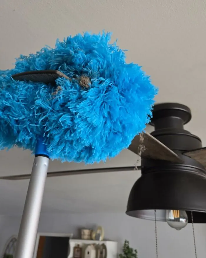 Your Ceiling Fan Is Harboring More Dust Than A Haunted Mansion, But The <a Style="Display:inline;" Href="Https://Www.amazon.com/Microfiber-Removable-Extension-Bookshelves-Furniture/Dp/B0cdkmd1qb?ie=utf8&th=1&linkcode=ll1&tag=bpwombat-20&linkid=265c572d0b24b71cba7ea0c44bb95956&language=en_us&ref_=as_li_ss_tl" Target="_blank"><span Style="Font: Inherit; Color: #d74b1f;"> Ceiling Fan Duster </Span> Is Here To Clear The Cobwebs