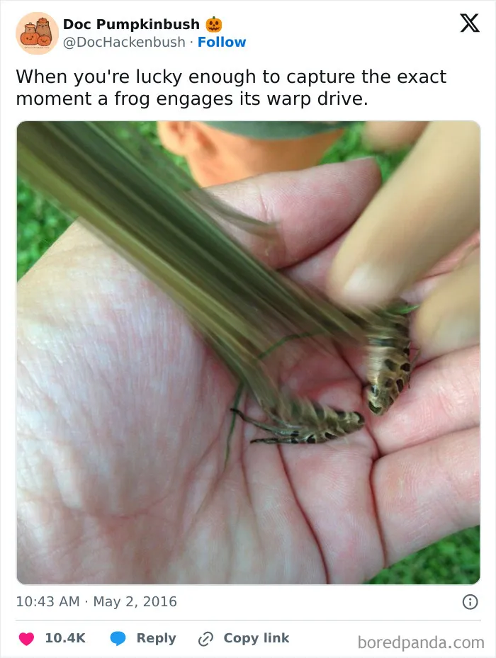 Warp Frog, You Already Fought Him, He Already Won