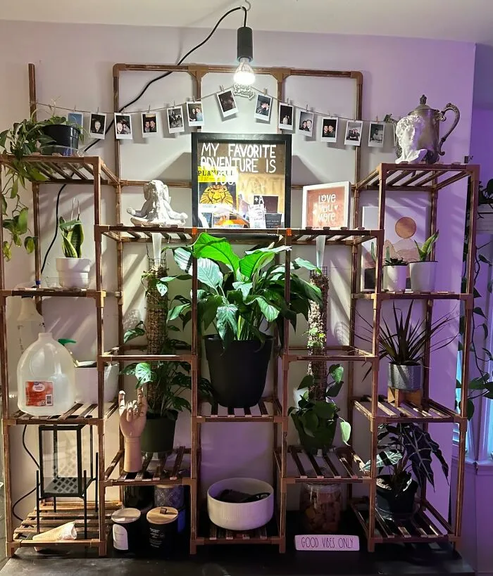 Nature’s Calling, And We Must Go, Blurring The Lines Between The Indoors And Out By Incorporating Lush Greenery Into Every Corner Of Your Home With A Statement Piece Like A <a Style="Display:inline;" Href="Https://Www.amazon.com/Enhomee-Upgrade-Load-Bearing-Multiple-11-8x56x63/Dp/B0c242mwjc?ie=utf8&th=1&linkcode=ll1&tag=bpferret-20&linkid=99607f1cd01f5ac3a56a1f49fc332f78&language=en_us&ref_=as_li_ss_tl" Target="_blank"><span Style="Font: Inherit; Color: #d74b1f;"> Planter Stand With 14 Shelves</Span> To Create Your Own Personal Urban Jungle