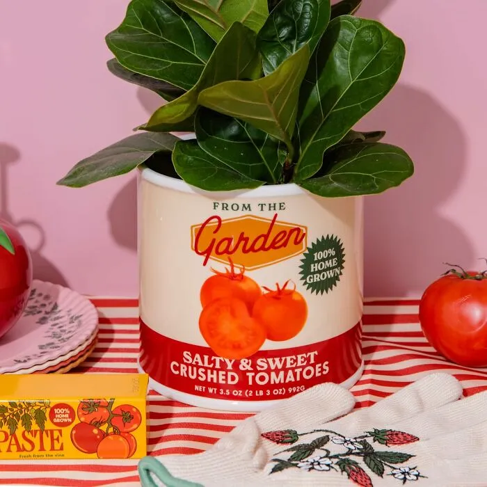 Add A Pop Of Quirky Charm To Your Plant Parenthood With This <a Style="Display:inline;" Href="Https://Www.amazon.com/Ban-Do-Vintage-Inspired-Decorative-Ceramic/Dp/B0dq29m4yl?&linkcode=ll1&tag=bpostrich-20&linkid=a4c8bad6d5a974ce1be8c305bbf2caf3&language=en_us&ref_=as_li_ss_tl" Target="_blank"><span Style="Font: Inherit; Color: #d74b1f;"> Tomato Can Ceramic Planter </Span>! It's A Fun Twist On Traditional Planters That's Sure To Bring A Smile