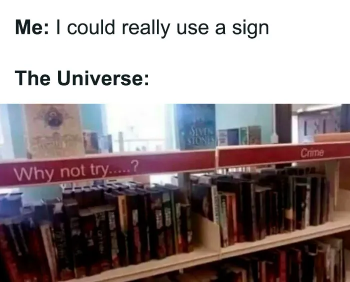 50 Hilariously Random Pics From "I Would Prefer Not To” IG Page (New Pics)