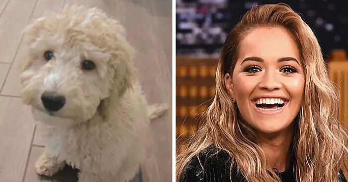 Rita And My Dog, Dipper...  They Look Alike In A Way