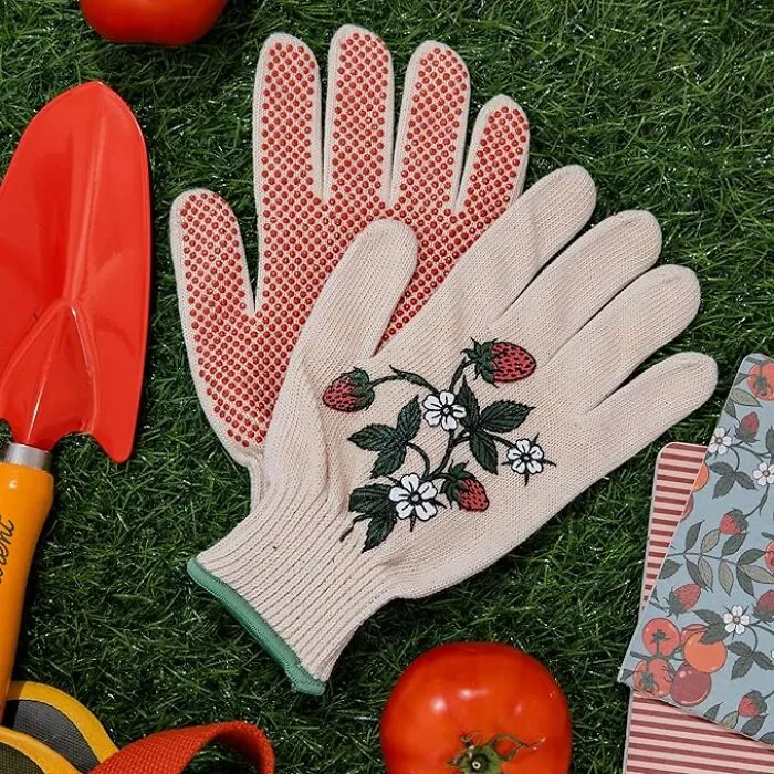 Get A Grip On Gardening In Style With This <a Style="Display:inline;" Href="Https://Www.amazon.com/Ban-Do-Gardening-Outdoor-Silicone-Strawberries/Dp/B0dprbhb3y?&linkcode=ll1&tag=bpostrich-20&linkid=43ce12e0097ba44ad69f9413318e464c&language=en_us&ref_=as_li_ss_tl" Target="_blank"><span Style="Font: Inherit; Color: #d74b1f;"> Gardening Gloves With Cute Strawberry Motif </Span>! They're The Sweetest Way To Tackle Those Thorny Tasks