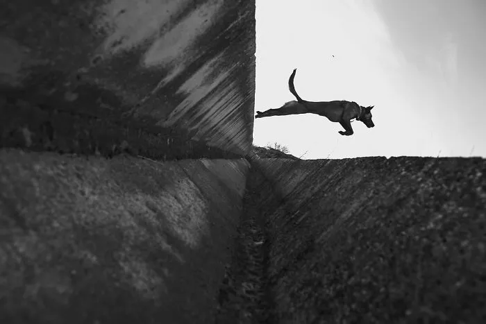 The Coincidence Project: 34 Unexpected And Amusing Combinations Captured By Denis Cherim (New Pics)