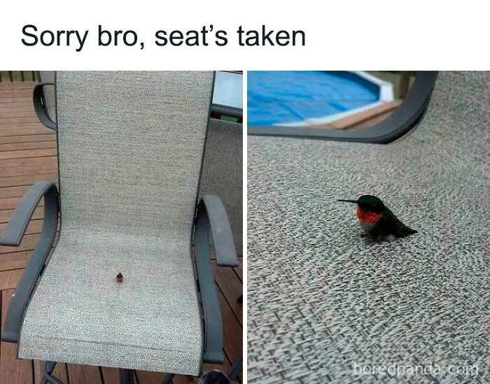 Dont Know Original Source Of This Gem