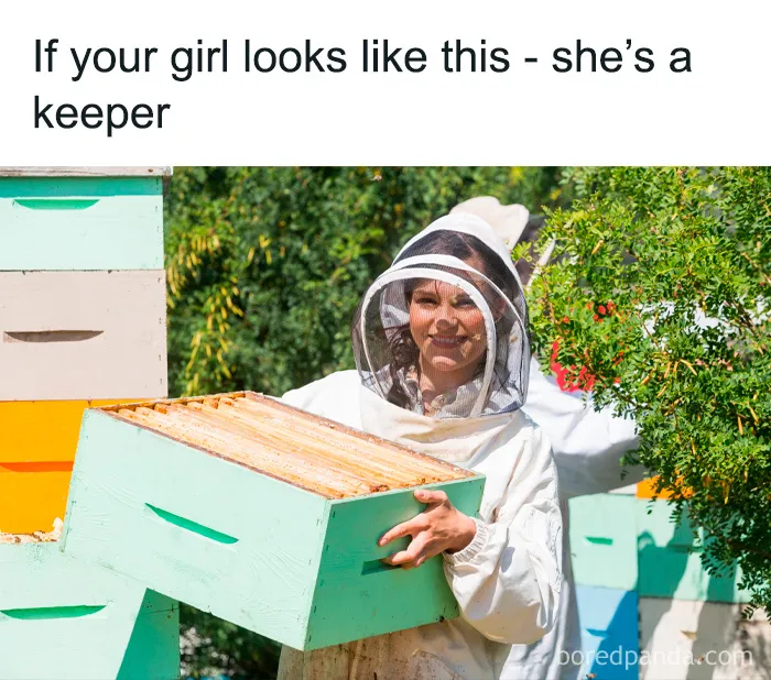 Beekeeper with a humorous caption showcasing classic dad's humor.