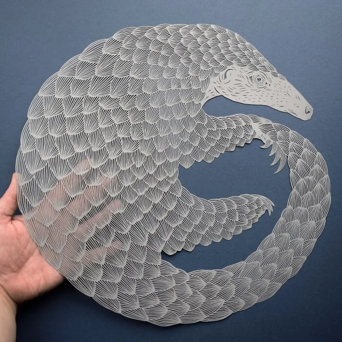 Papercut Artist Creates Intricate And Beautiful Designs Inspired By Natural Life (42 Pics)