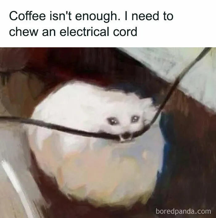 30 Work Memes To Fill That Existential Void With Laughter (New Pics)