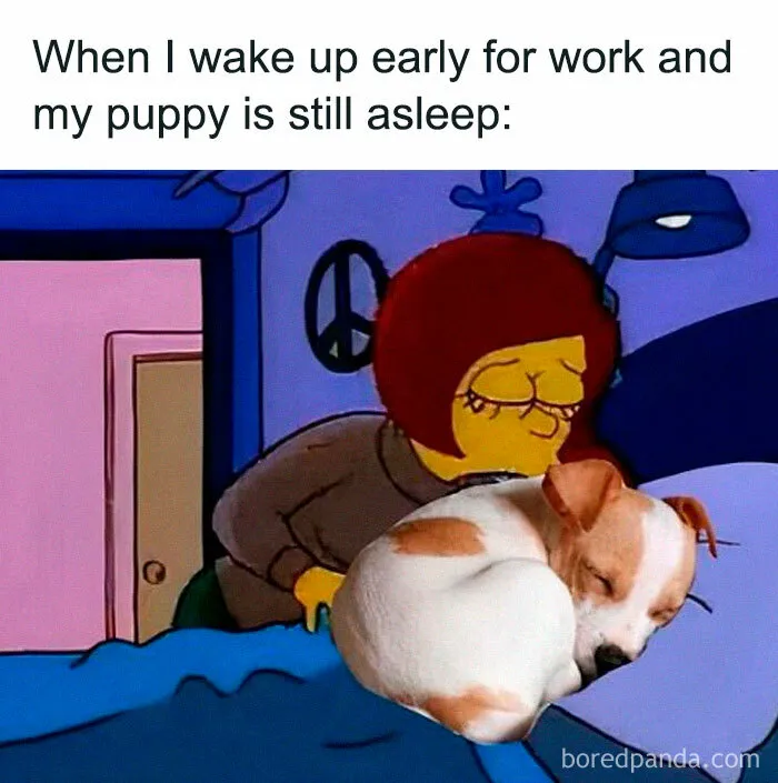 30 Work Memes To Fill That Existential Void With Laughter (New Pics)