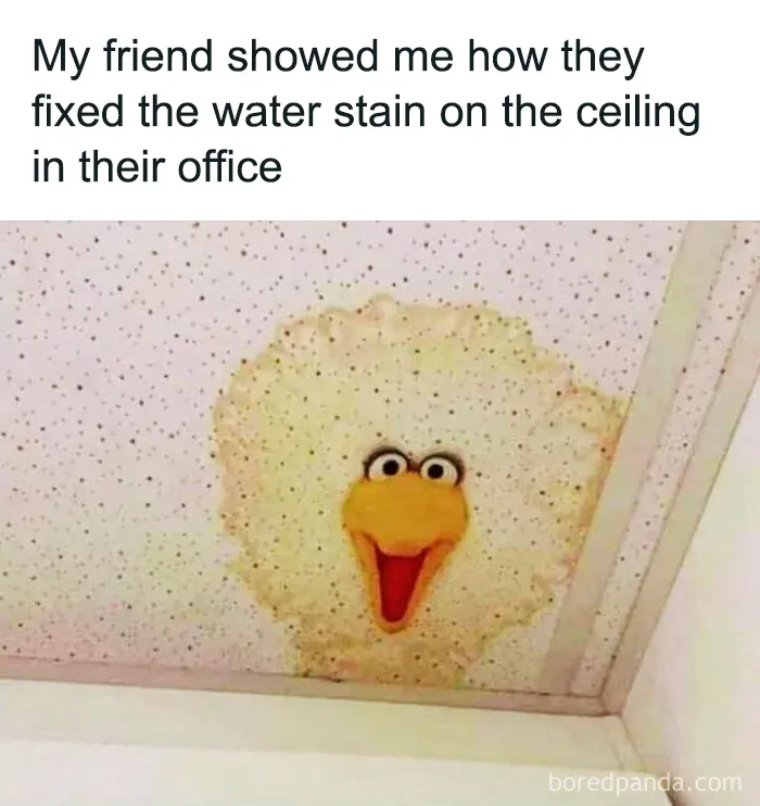 Ahh Yes, The Ol' Landlord Special