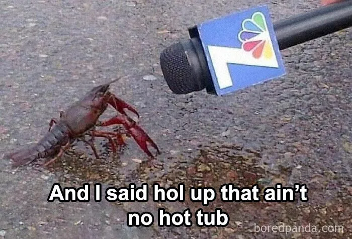 50 Hilariously Random Pics From "I Would Prefer Not To” IG Page (New Pics)