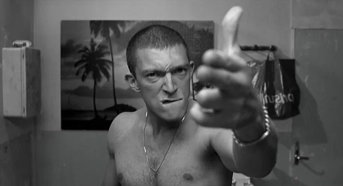 Vincent Cassel