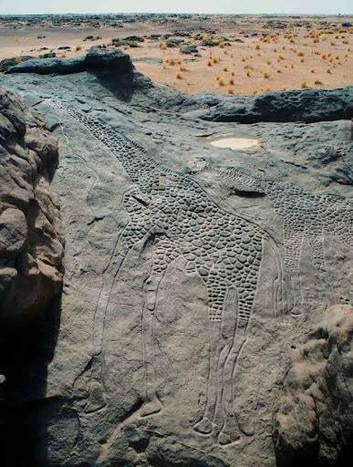 10,000-Year-Old Dabous Giraffes In Niger