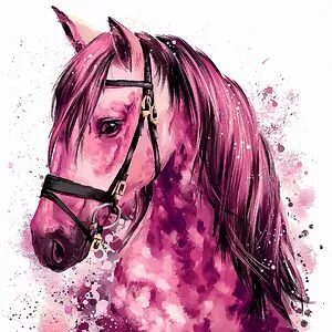 Abby the Horse