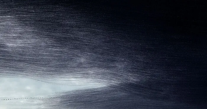 This Artist Captured 20 Mesmerizing Photos That Turn Bird Migration Into A Work Of Art