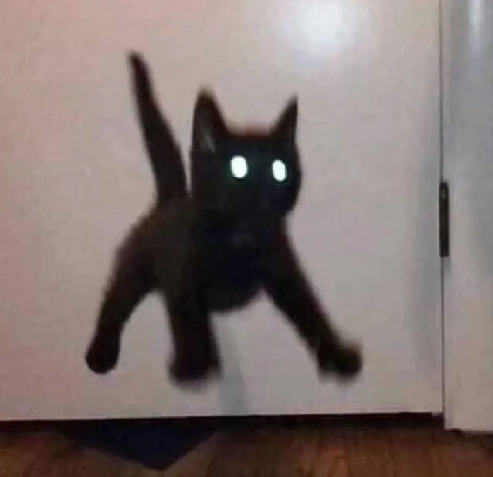 42 Animales actuando sin sentido al activar su modo «goblin» (nuevas fotos)