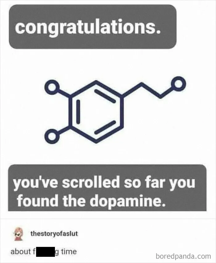 40 Funny Pics To Scroll Through As You’re Having Your Third Mental Breakdown Of The Day (New Pics)