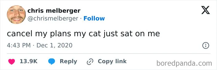 50 Funny Cat Memes To Brighten Up Your Day If The World Feels Like A Cat-astrophe Right Now (New Pics)