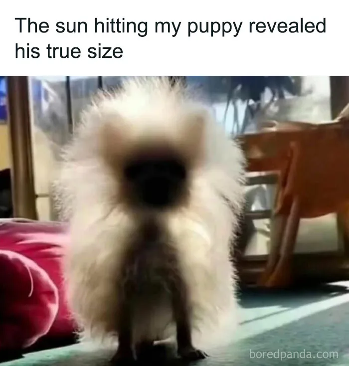 50 Uplifting Memes And Posts For That Daily Dose Of Positivity (New Pics)