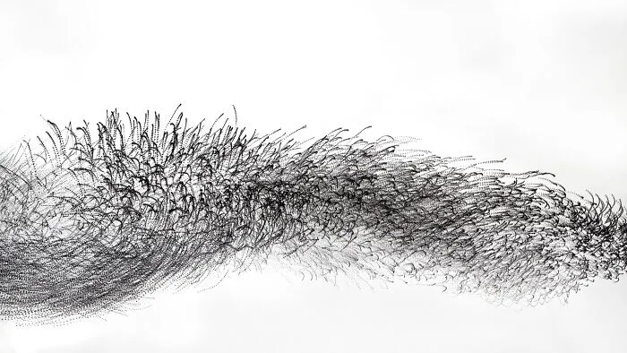 This Artist Captured 20 Mesmerizing Photos That Turn Bird Migration Into A Work Of Art