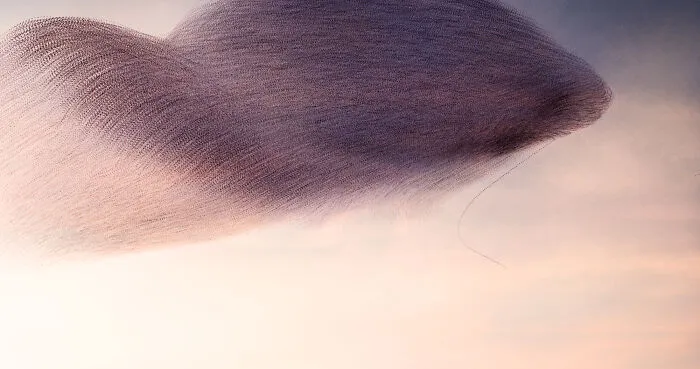 This Artist Captured 20 Mesmerizing Photos That Turn Bird Migration Into A Work Of Art