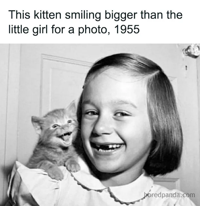 50 Uplifting Memes And Posts For That Daily Dose Of Positivity (New Pics)