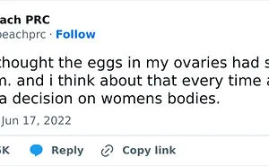 50 Times Sexists Tried To Explain Women But Ended Up Embarrassing Themselves (New Pics)