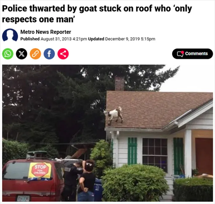 One Roof. One Goat. Only One Man He Respected