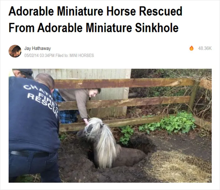 Best Headline Ever