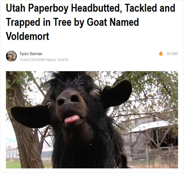 Best Headline Ever?
