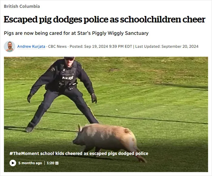 Funniest Headline Ever