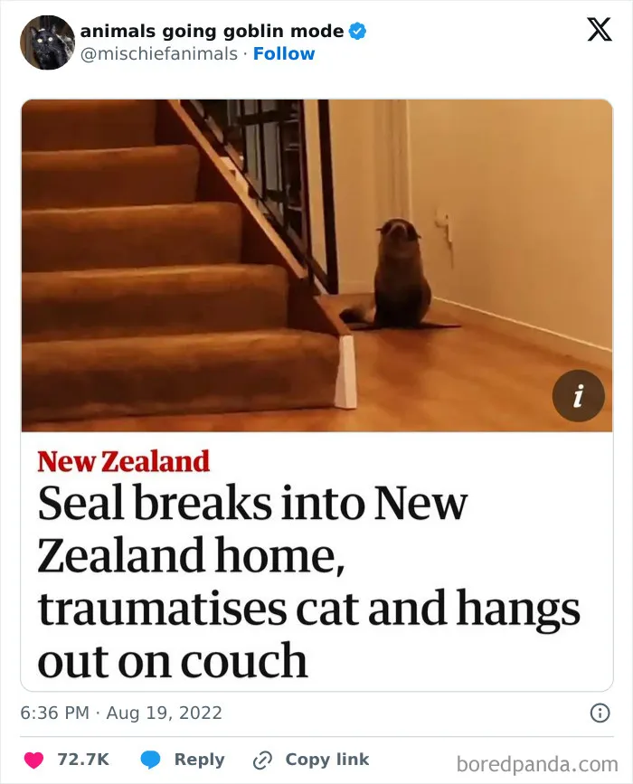 The Seal Did Nothing Wrong