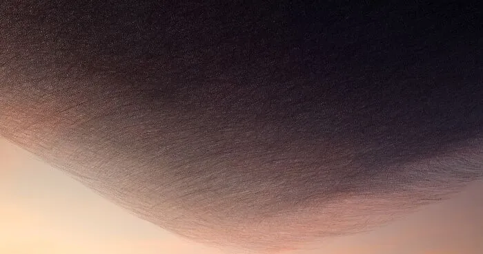 This Artist Captured 20 Mesmerizing Photos That Turn Bird Migration Into A Work Of Art