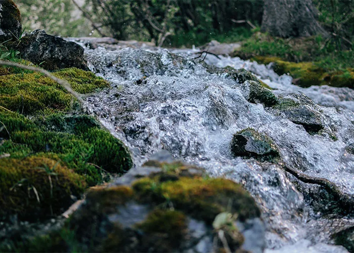 “It Snapped Like A Biscuit”: 40 Hikers Who Saw Something Truly Terrifying