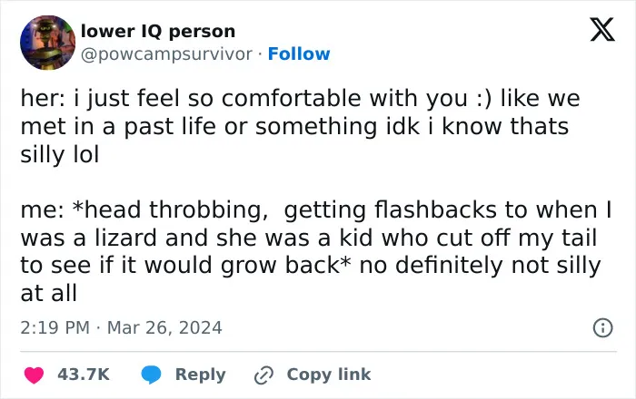 Funny puncrastination meme about past life and being a lizard.
