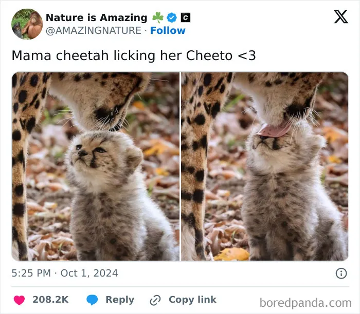 50 Uplifting Memes And Posts For That Daily Dose Of Positivity (New Pics)