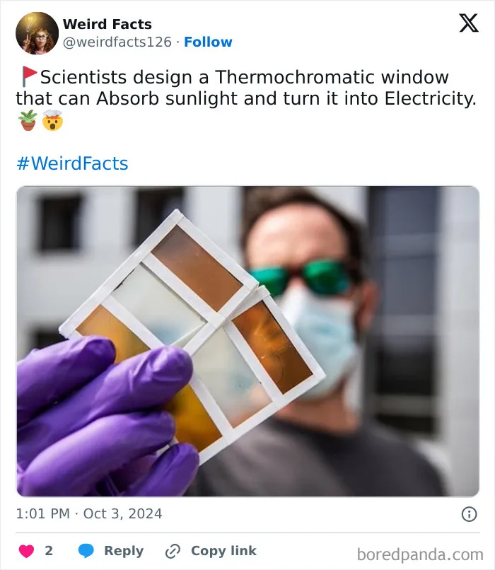 How Cool Would It Be To Have Windows That Produce Clean Energy ?