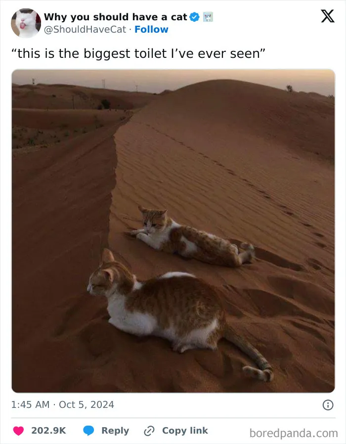 50 Memes And Jokes You Shouldn’t Read If You Don’t Want To Get Smile Wrinkles