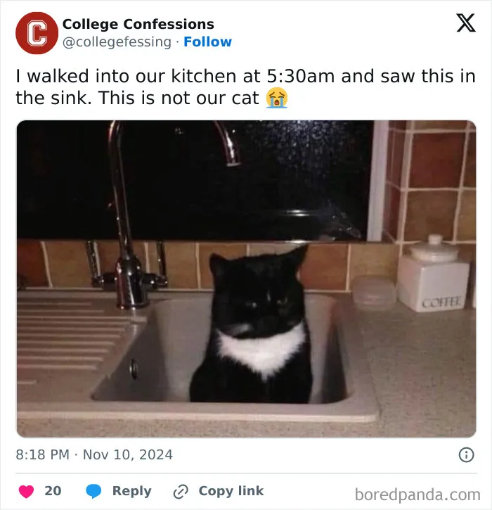 Sink or Swim Situation