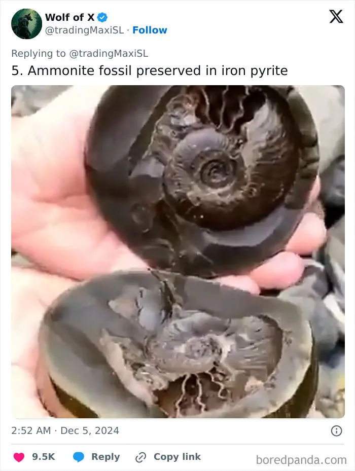 40 Historical Finds That Might Surprise You How Well They Survived