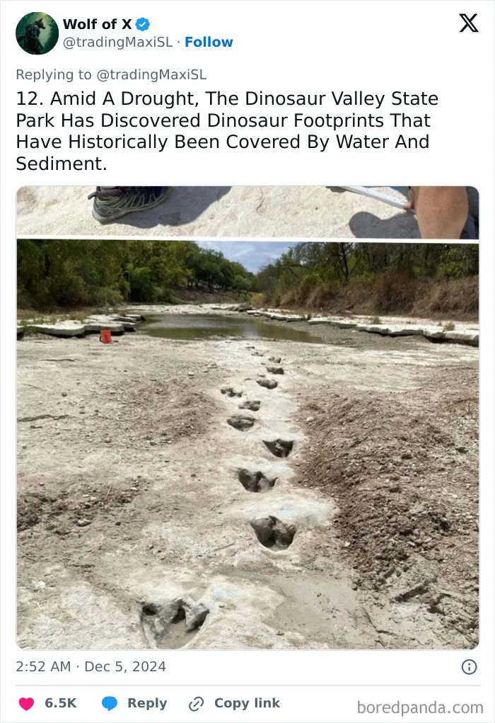 40 Historical Finds That Might Surprise You How Well They Survived