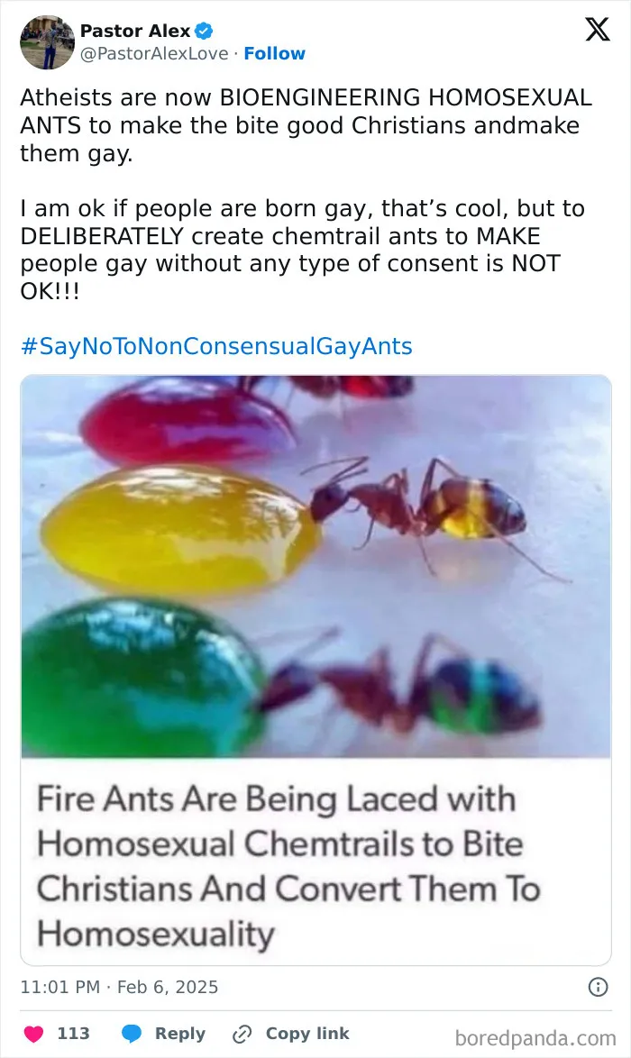 The Gay Ant That Makes You Gay