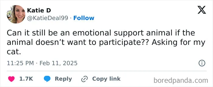 40 Of The Funniest Tweets From February 2025