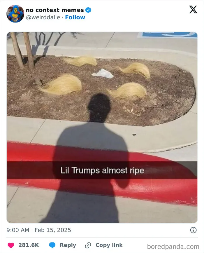 40 Of The Funniest Tweets From February 2025