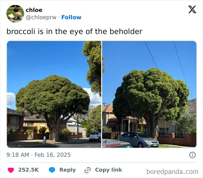 40 Of The Funniest Tweets From February 2025