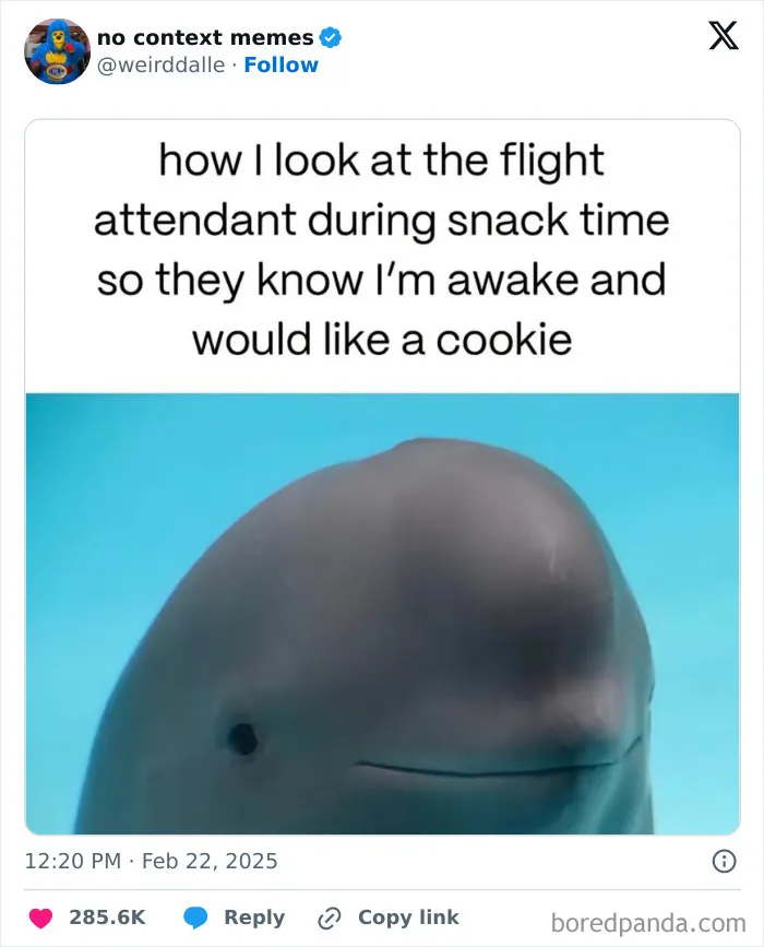40 Of The Funniest Tweets From February 2025