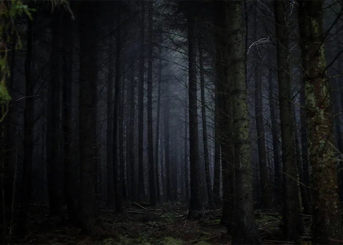 “It Snapped Like A Biscuit”: 40 Hikers Who Saw Something Truly Terrifying