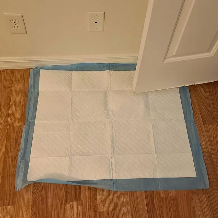 Your Pup’s Accidents Don’t Have To Mean More Trash, Because The <a Style="Display:inline;" Href="Https://Www.amazon.com/Washable-Pee-Pads-Dogs-Waterproof/Dp/B0d1kyb17x?ie=utf8&th=1&linkcode=ll1&tag=bporca-20&linkid=3605dbee3c349d7da02e558cd3ca52a9&language=en_us&ref_=as_li_ss_tl" Target="_blank"><span Style="Font: Inherit; Color: #d74b1f;"> Reusable Pee Pads </Span> Are Here To Clean Up Messes In A Way That’s Kinder To The Planet Than Disposable Ones