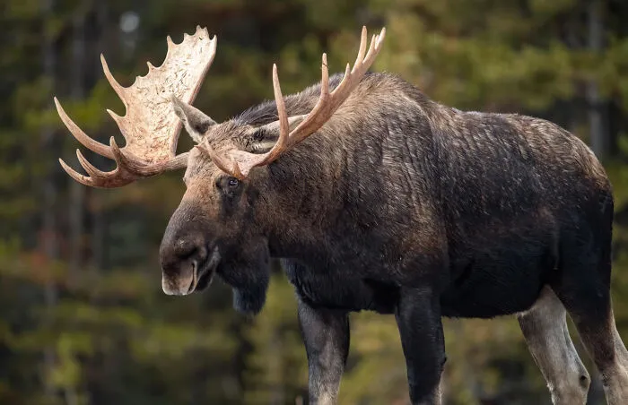30 Facts That Made Someone Stop And Say, ‘I Can’t Believe I Didn’t Know That’ (New Facts)